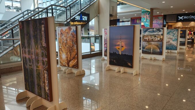 Exposição (1)