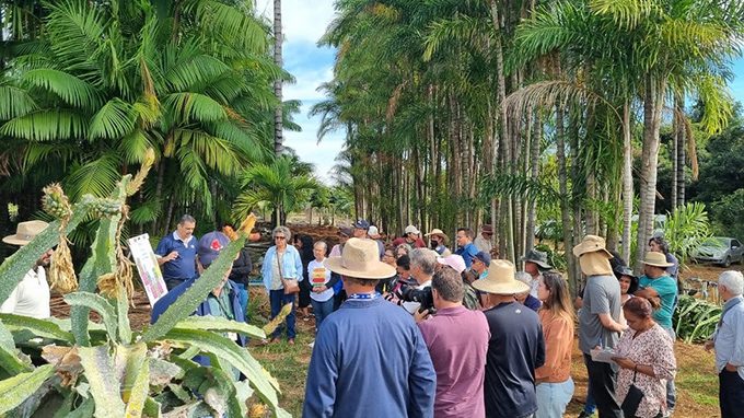 unnamed – 2025-06-02T073931.196