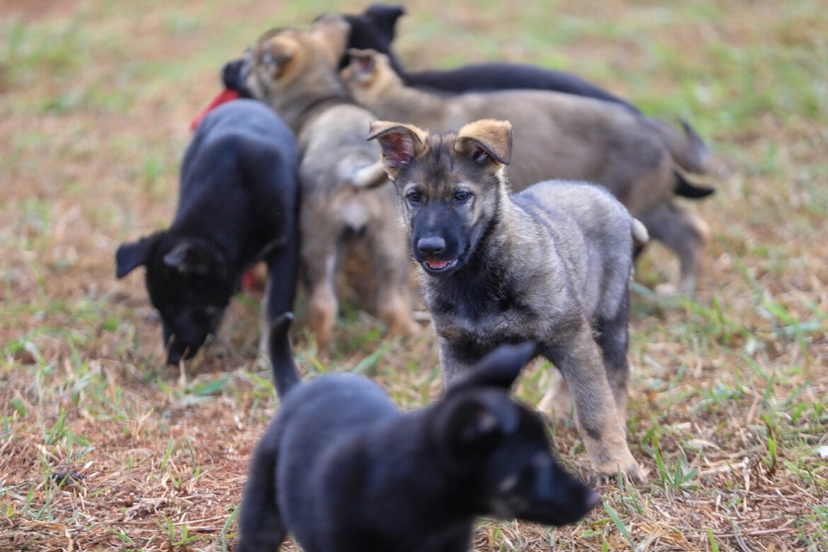 WhatsApp Image 2025-07-10 at 17.55.20